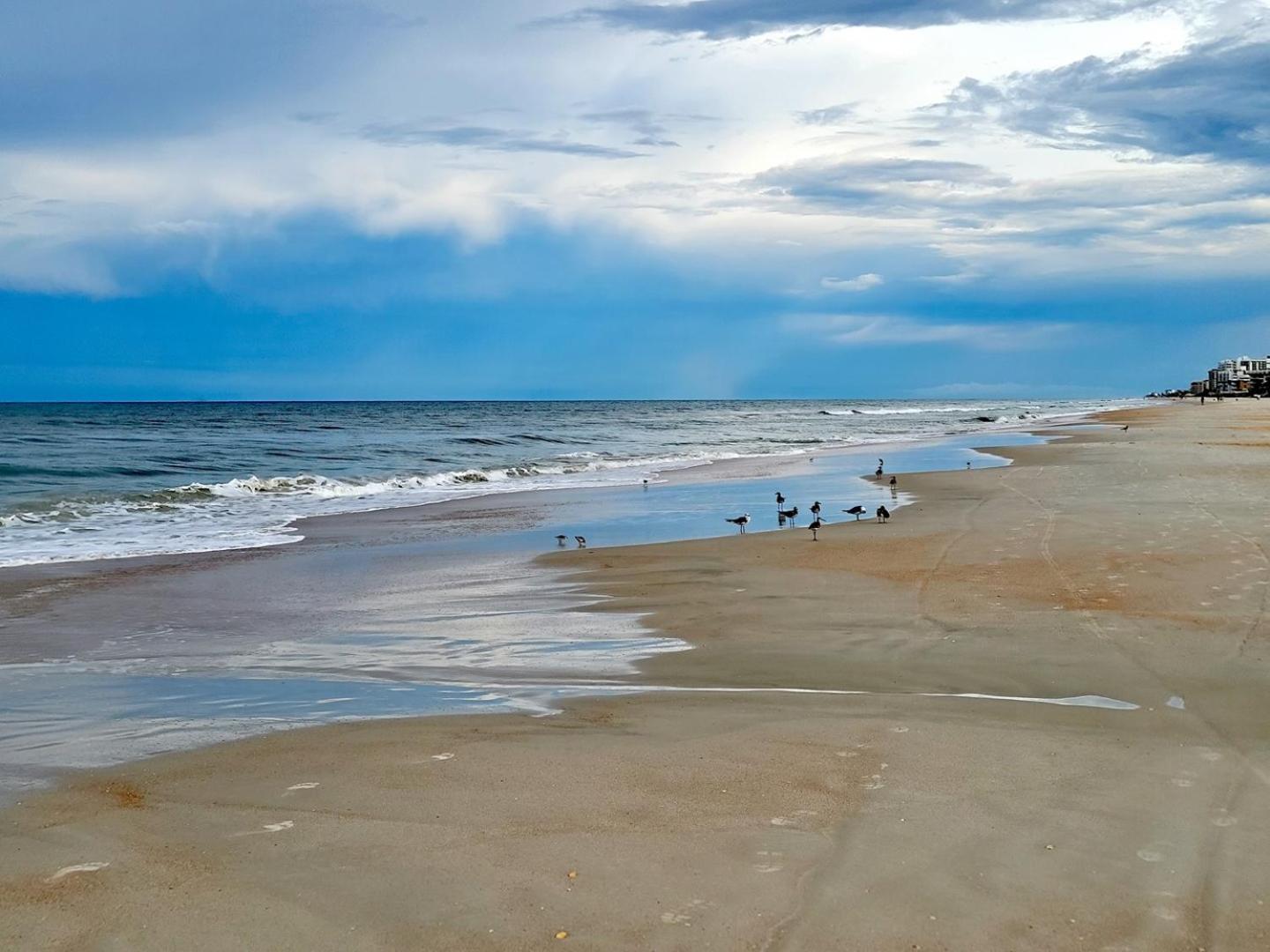 513 - Spectacular Penthouse Level Condo New Smyrna Beach Exteriör bild